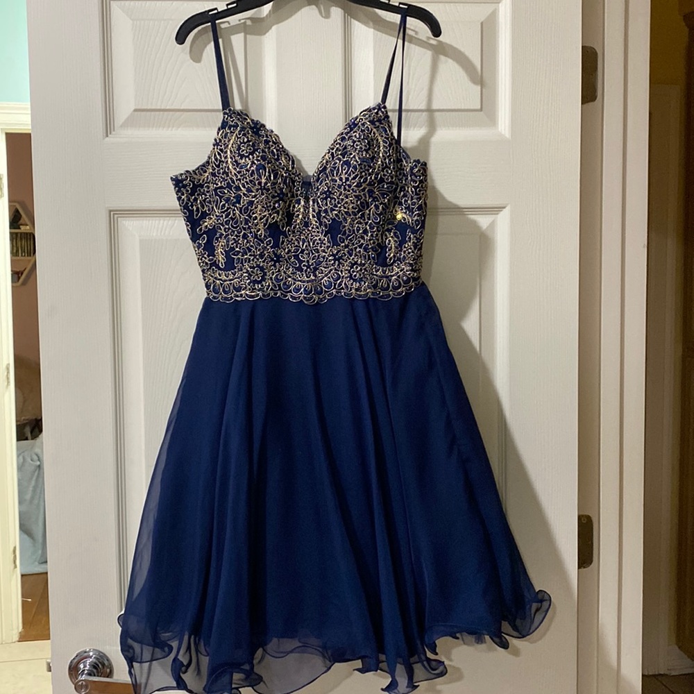 Camille Blue and Gold dress